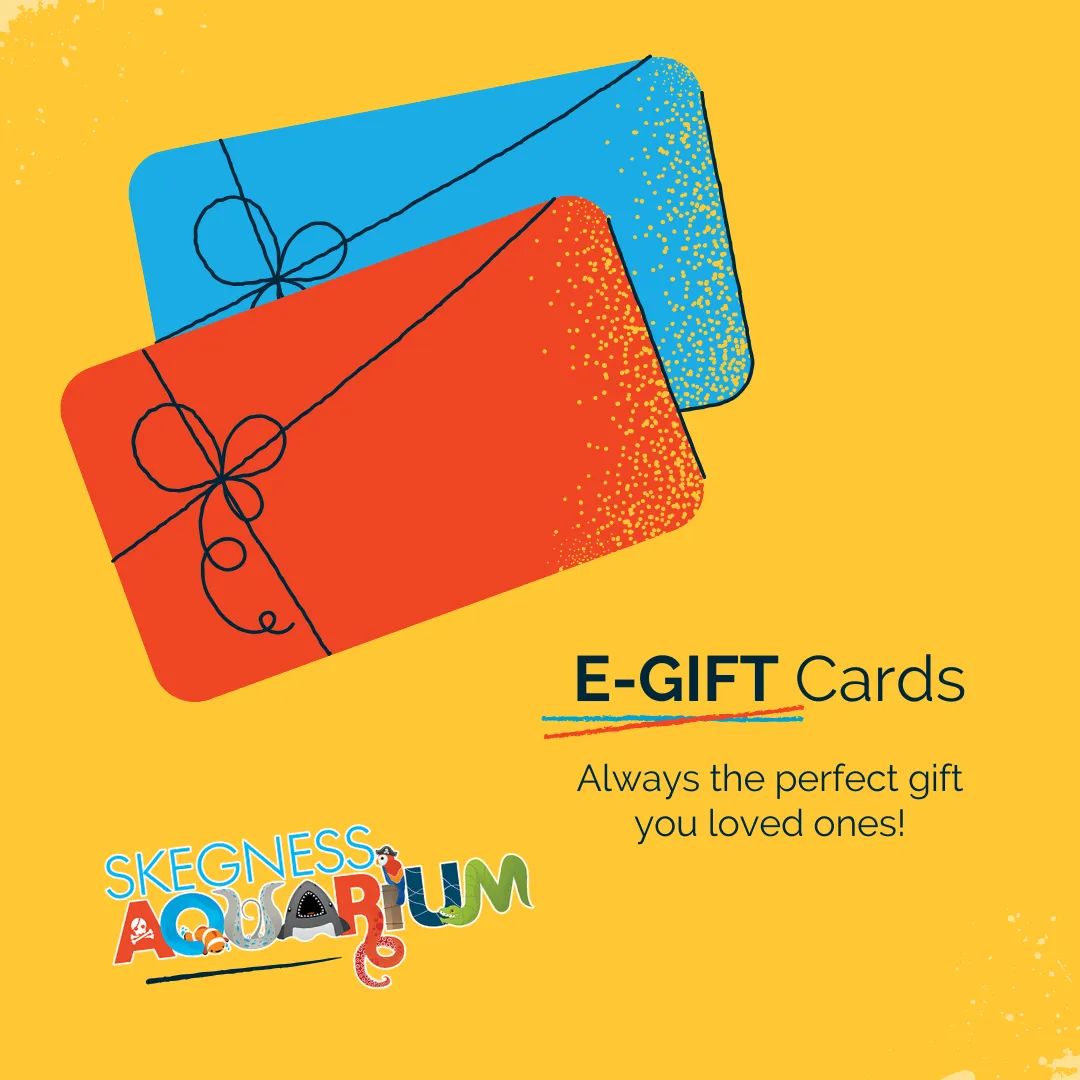 Skegness Aquarium E-gift Card